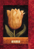 Orange Tulip