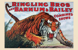 Ringling Bros and Barnum & Bailey