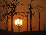 Sunset in Tropical Rainforest after Destruction by Fire  Brazil