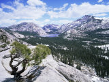 Tenaya Lake from Olstead Point on Tioga Pass  Yosemite National Park  California  USA
