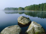 Loch Garten Rspb Reserve at Dawn  Highlands  Scotland  UK