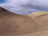 Funnel Fences for Catching Vicuna for Wool  San Antonio Community Project  Potosi  SW Bolivia