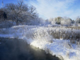 Scuppernong Creek in Winter Snow  Wisconsin  USA