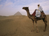 Bedouin Camel Rider in Front of Pyramid of Djoser  Egypt  North Africa