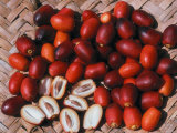 Fresh Dates (Phoenix Dactylifera)