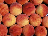 Peaches (Prunus Persica) Europe