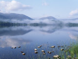 Dawn Over Loch Morlich  Cairngorms National Park  Scotland