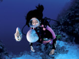 Diver with Pair of Pearly Nautilus  Great Barrier Reef  Queensland  Australia