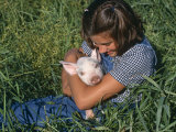 Girl Holding Domestic Piglet  Mixed Breed  USA