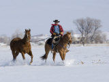 Cowboy Riding Red Dun Quarter Horse Gelding Through Snow  Bethoud  Colorado  USA