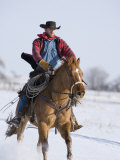 Cowboy Cantering Through Snow on Chestnut Red Dun Quarter Horse Gelding  Berthoud  Colorado  USA