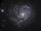 The Pinwheel Galaxy