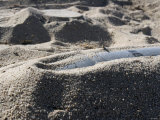 A Static Display of an Ordnance Shell and a Mine Lay Half-Buried in the Sand