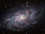 The Triangulum Galaxy