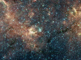 Massive Star Cluster