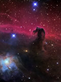 The Horsehead Nebula