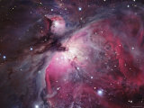 A Close up of the Orion Nebula
