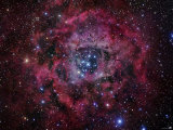 The Rosette Nebula