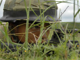 An Infantryman with the Royal Thai Marines Takes up a Position at Hatyao Beach