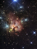 The Northern Trifid Nebula