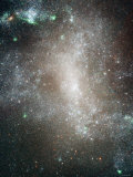 Central Region of the Barred Spiral Galaxy NGC 1313