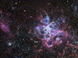 The Tarantula Nebula