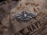 The Enlisted Fleet Marine Force Warfare Specialist Pin