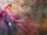 Orion Nebula