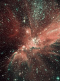 A Population of Infant Stars in the Milky Way Satellite Galaxy  the Small Magellanic Cloud