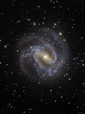 The Southern Pinwheel Galaxy