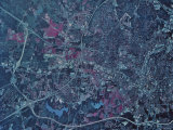 Raleigh  North Carolina