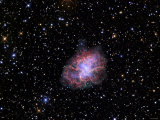 The Crab Nebula