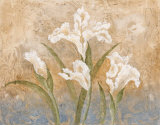 Fleurs Meditatives I