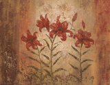 The Lily Style