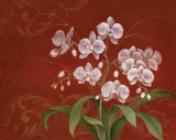 Say it with Orchids II
