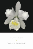 Cattleya