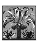Palm  c1933
