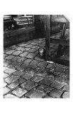 Dans la Cours  255 Avenue Alesia  c1947