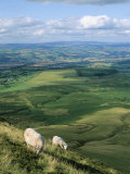 View North from Hay Bluff  with Distant Hay on Wye in Valley  Powys  Wales  United Kingdom