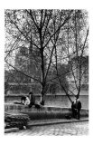 Quai d'Orlean Face a Notre Dame  c1970