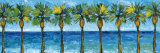 Palms in Paradise