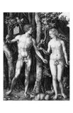 Adam and Eve  c1504