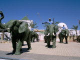 Carthage Land  Yasmine Hammamet  Tunisia  North Africa  Africa