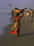Women Carrying Fish Catch to the Market of Fishing Village  Puri  Orissa State  India