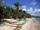 Beach with Palm Trees and Kayaks  Punta Soliman  Mayan Riviera  Yucatan Peninsula  Mexico