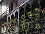 French Quarter  New Orleans  Louisiana  USA