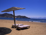 The Beach at Taba Heights  Gulf of Aqaba  Red Sea  Sinai  Egypt  North Africa  Africa