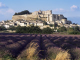 Grignan Chateau and Leavender Field  Grignan  Drome  Rhone Alpes  France