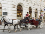 Horse-Drawn Tourist Carriage Near Hofburg  Vienna  Austria