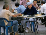 Men Playing Chess  Sabana Grande District  Caracas  Venezuela  South America